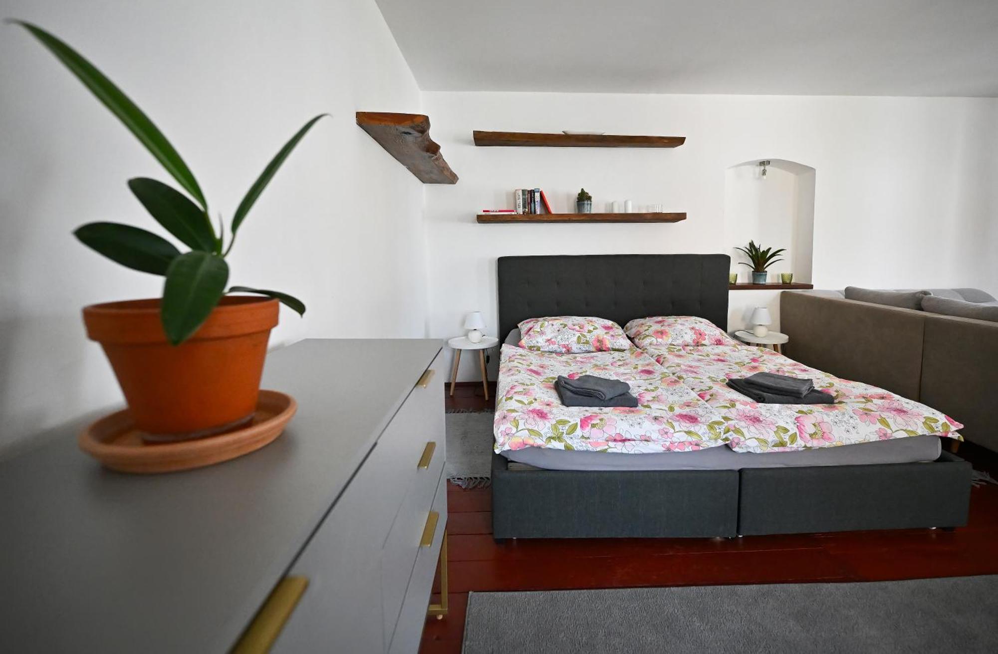 Apartman U Spinaru Třešť Zewnętrze zdjęcie